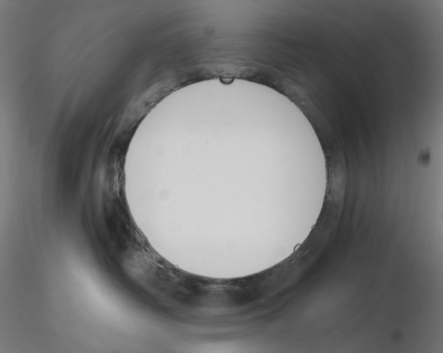 X0000116110334200912211638