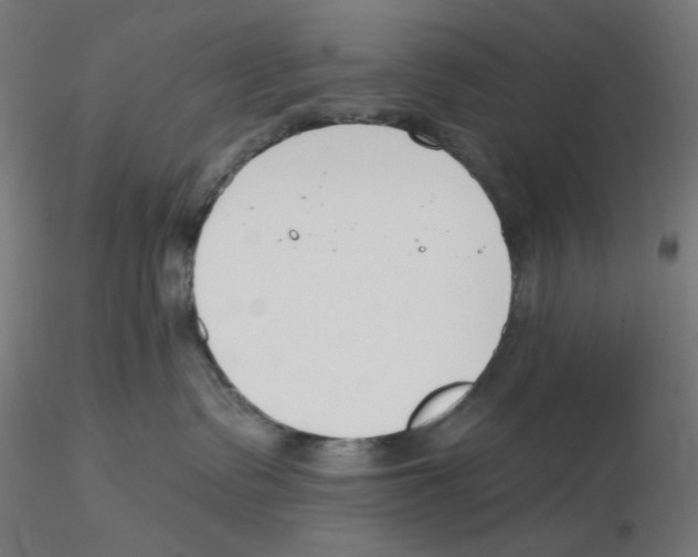 X0000116110335200912211638