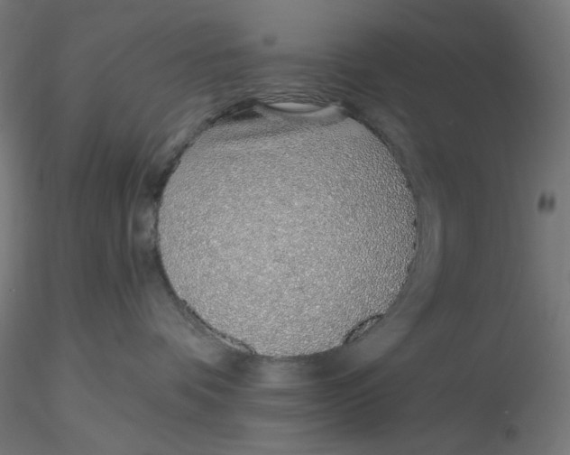 X0000116110336200912211638