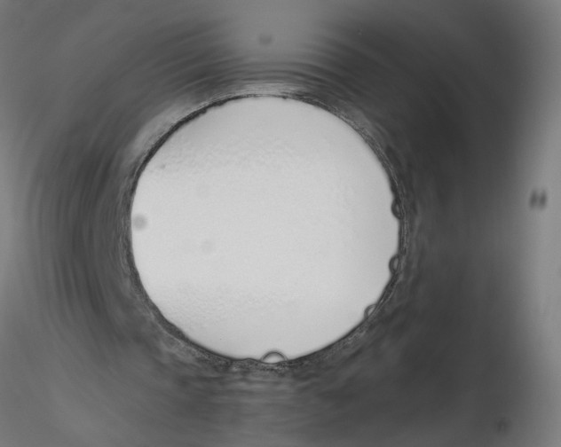 X0000116110337200912211637