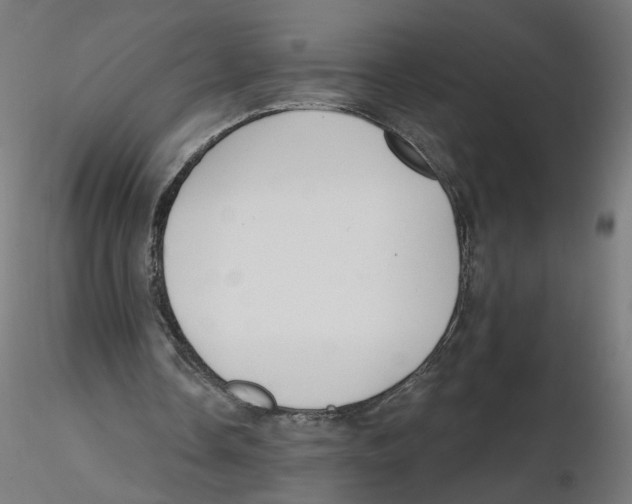 X0000116110338200912211637
