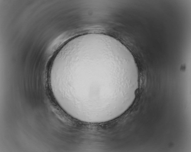 X0000116110339200912211637