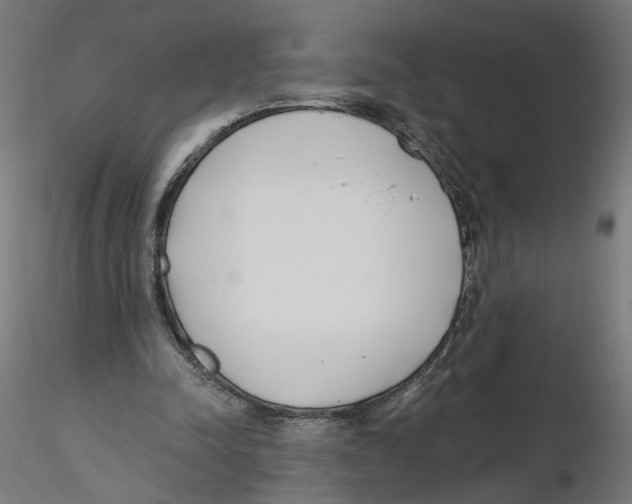 X0000116110342200912211637