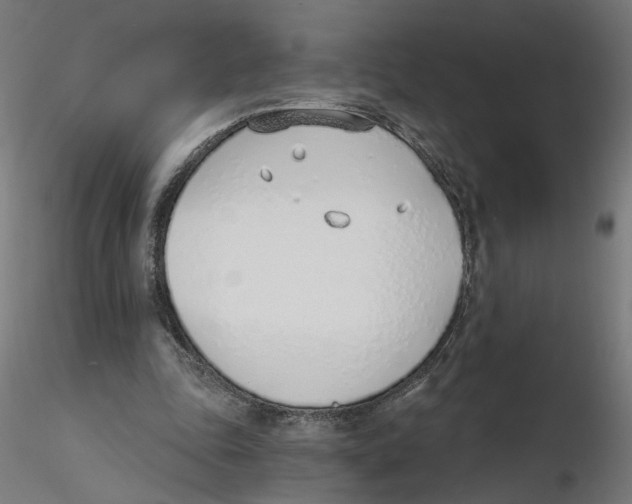 X0000116110343200912211637