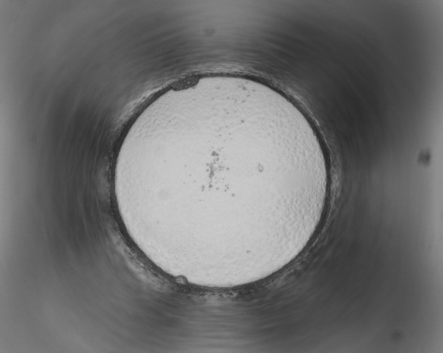 X0000116110345200912211637