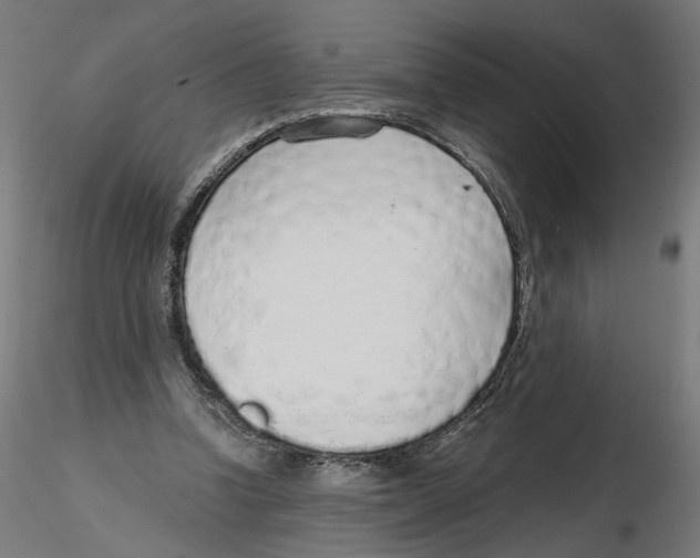 X0000116110346200912211637
