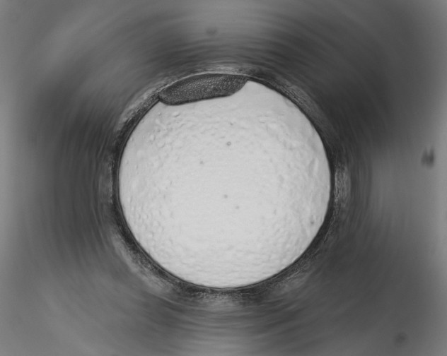 X0000116110349200912211637