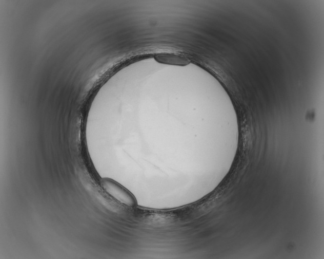 X0000116110350200912211637