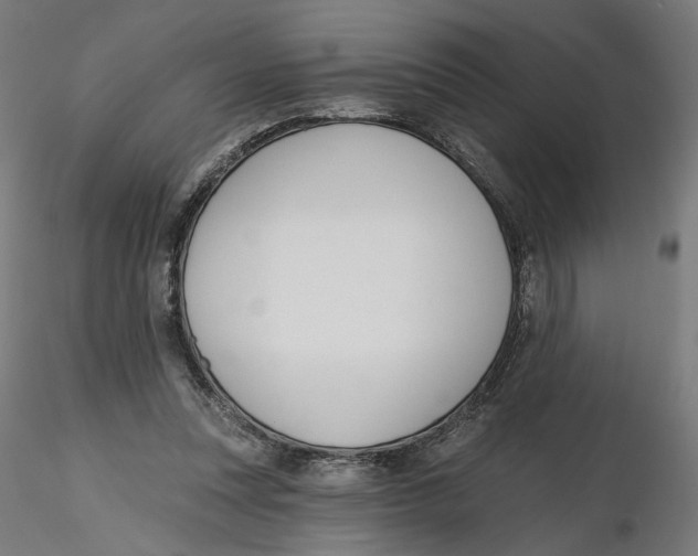 X0000116110351200912211637