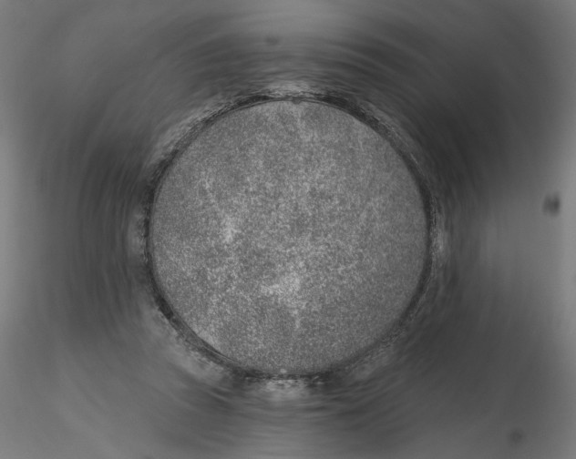 X0000116110353200912211637