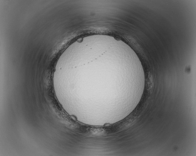 X0000116110355200912211637