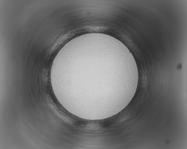 X0000116110357200912211637