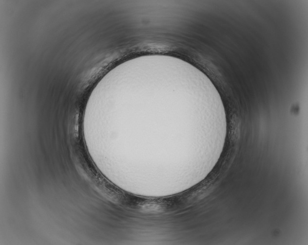 X0000116110358200912211637