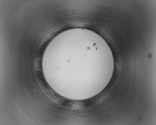 X0000116110359200912211637