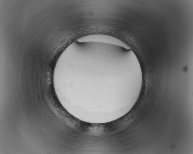 X0000116110362200912211637