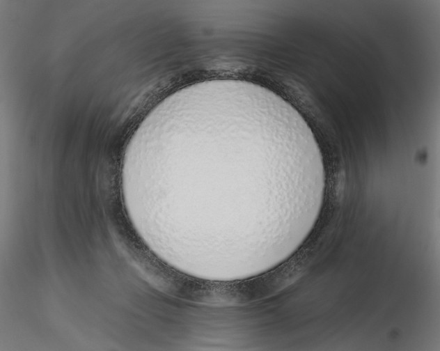 X0000116110365200912211637