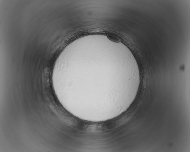 X0000116110366200912211637