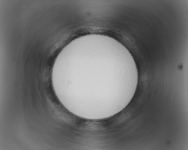 X0000116110367200912211637