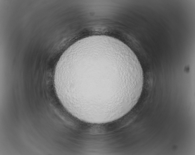 X0000116110369200912211637