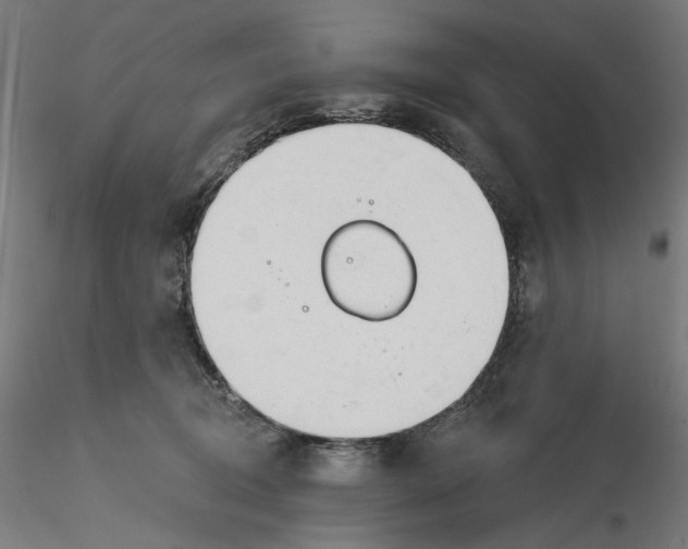 X0000116110370200912211637