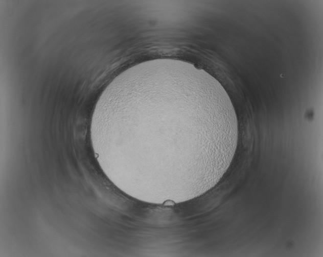 X0000116110374200912211638