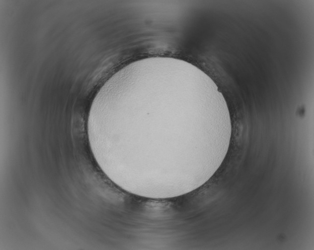 X0000116110375200912211638
