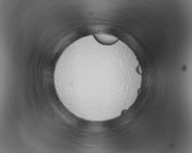 X0000116110377200912211638