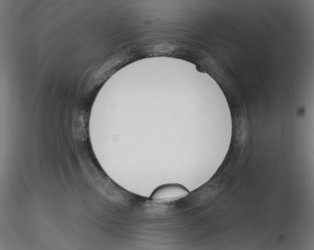X0000116110378200912211638