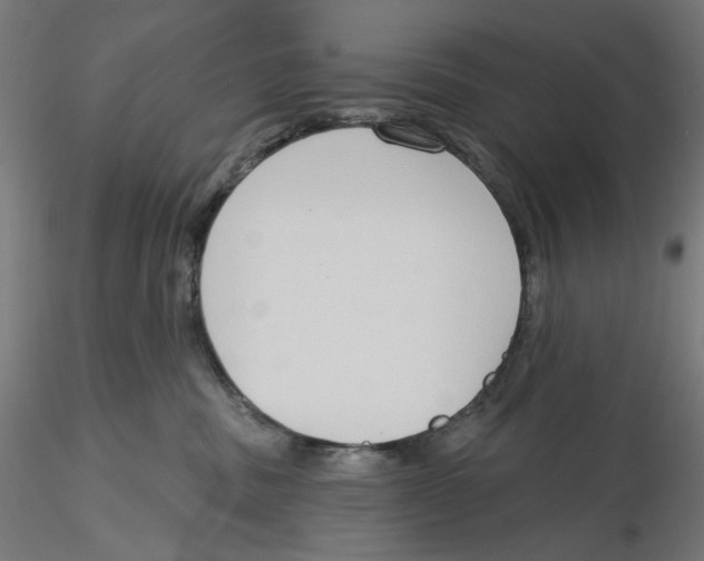 X0000116110379200912211638