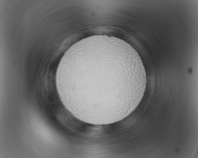 X0000116110381200912211638