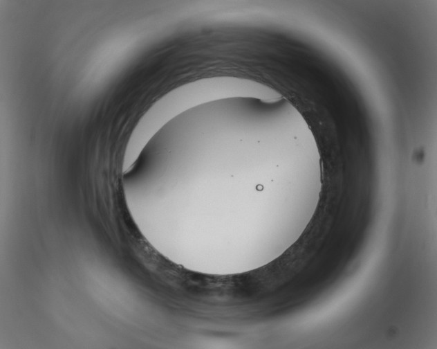 X0000116110382200912211638