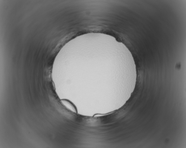 X0000116110383200912211638