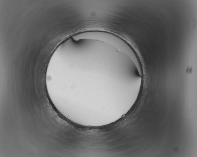 X0000116110385200912211637