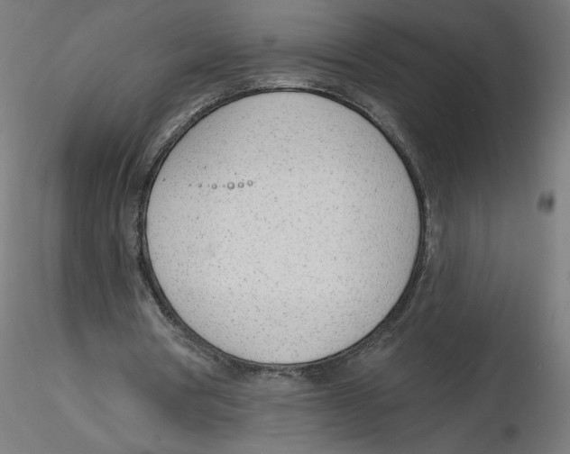 X0000116110386200912211637
