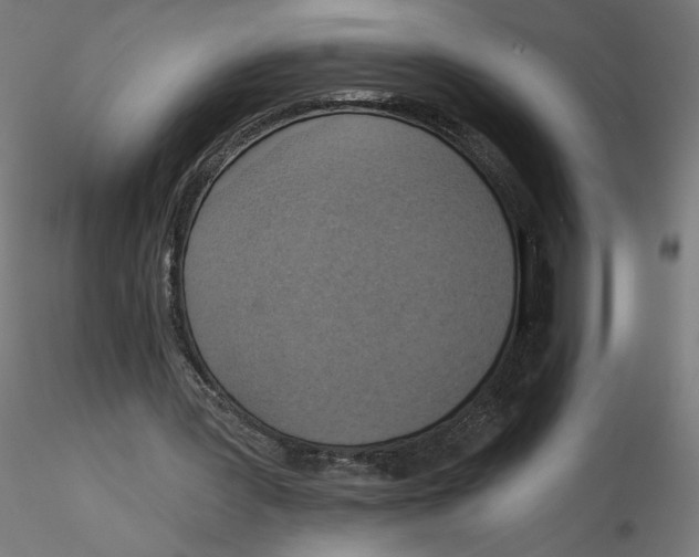 X0000116110387200912211637