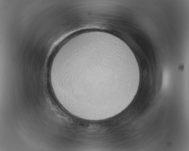 X0000116110388200912211637