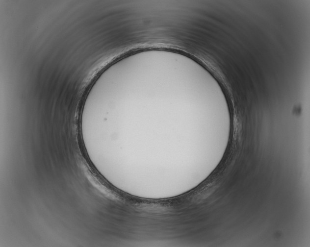 X0000116110389200912211637