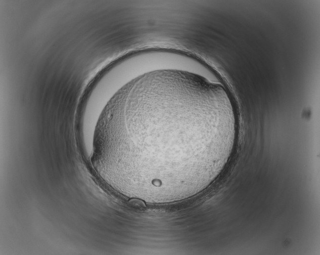 X0000116110391200912211637