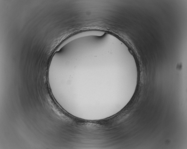 X0000116110393200912211637