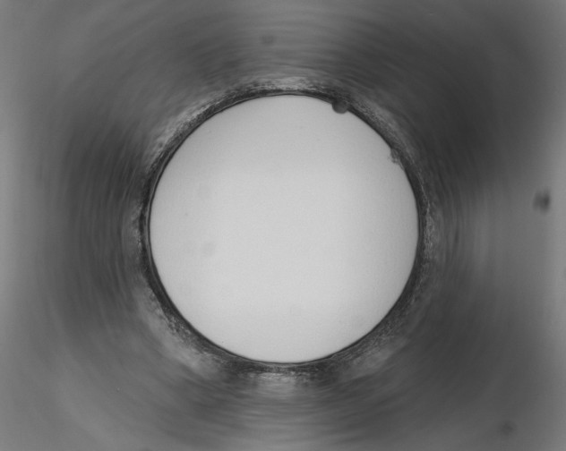 X0000116110394200912211637