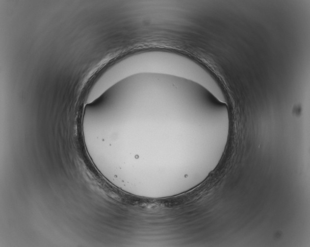 X0000116110395200912211637