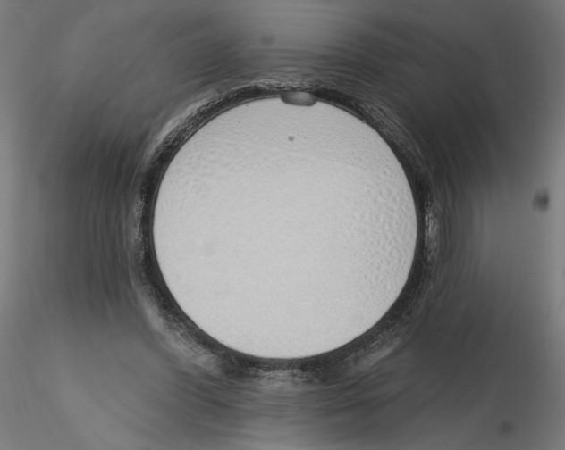 X0000116110396200912211637