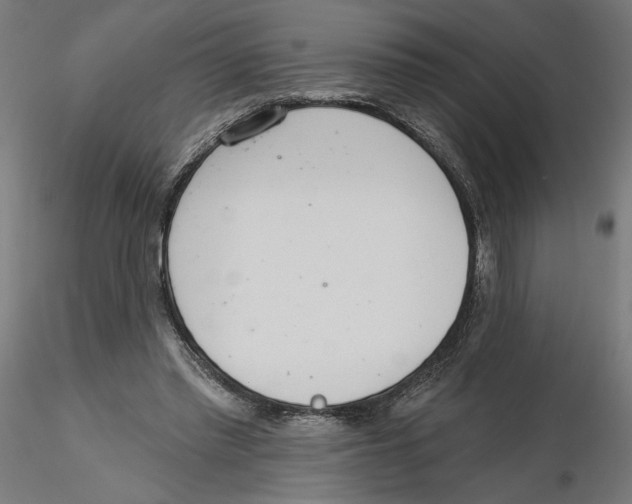 X0000116110397200912211637
