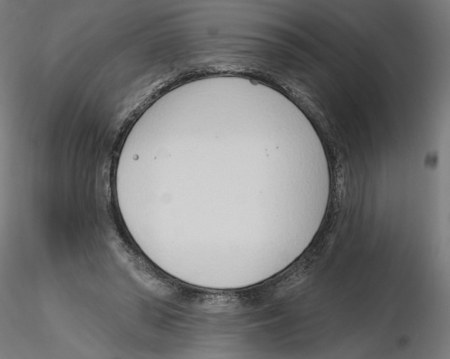 X0000116110398200912211637