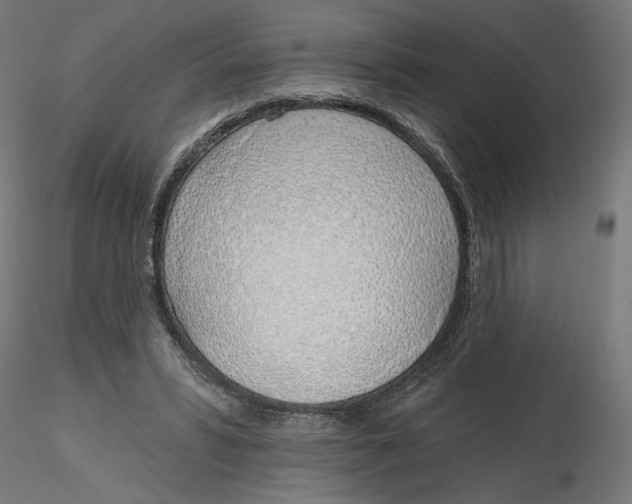 X0000116110399200912211637