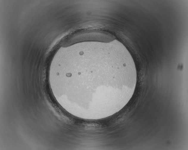 X0000116110400200912211637