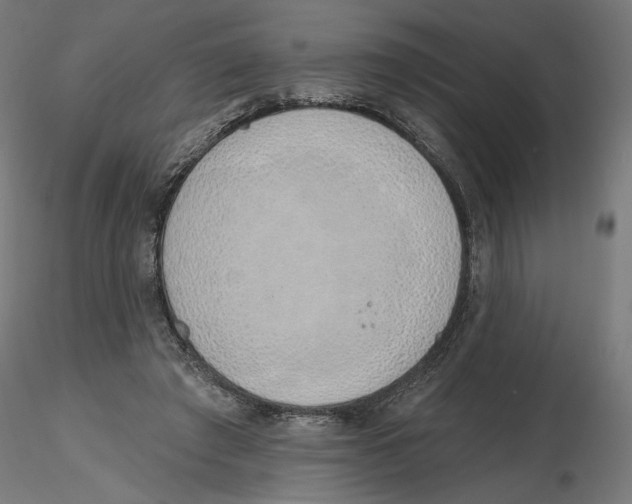X0000116110401200912211637