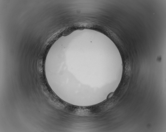 X0000116110403200912211637