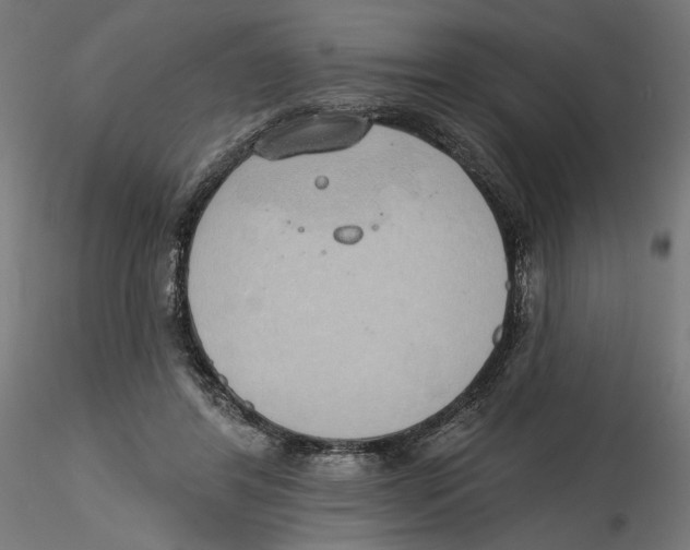 X0000116110404200912211637