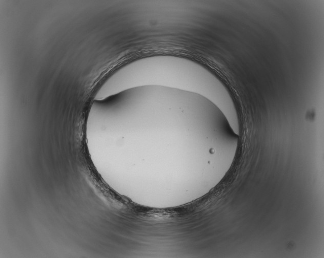 X0000116110405200912211637